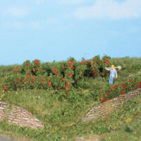 10 Rosenhecken und Büsche 0,7-3 cm