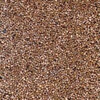 Schotter mittelbraun - grobkörnig