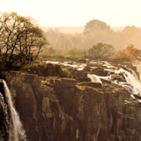 Heye Puzzle - Elephant, Edition Humboldt - 1000 Teile