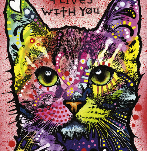 Heye Puzzle - 9 Lives - 1000 Teile