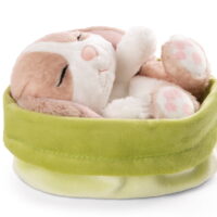 NICI - Kuscheltier Hase - cappuccino/grün