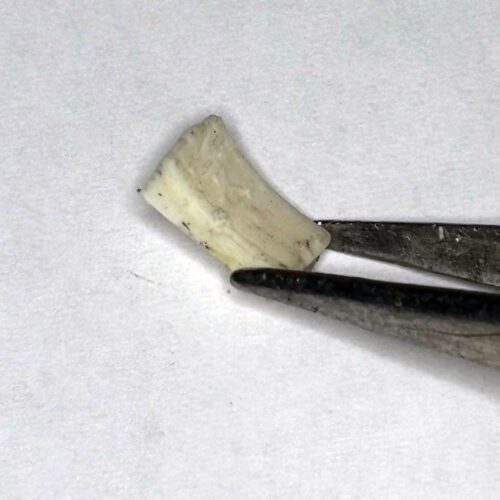 Gummibettung für Motor