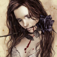 Dark Rose - 1000 Teile