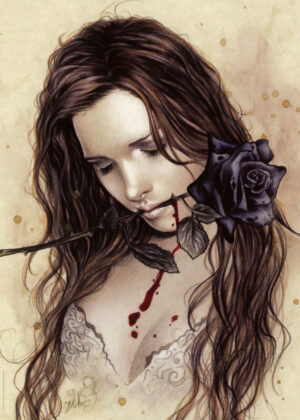 Dark Rose - 1000 Teile