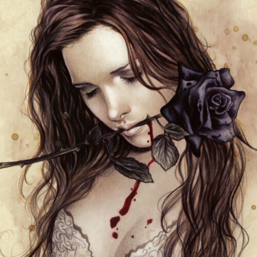 Dark Rose - 1000 Teile