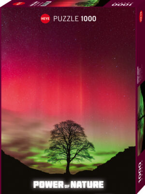 Sycamore Gap - 1000 Teile – Bild 2